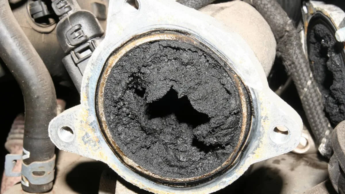 egr delete 